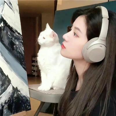 北京女子图鉴之再见爱情